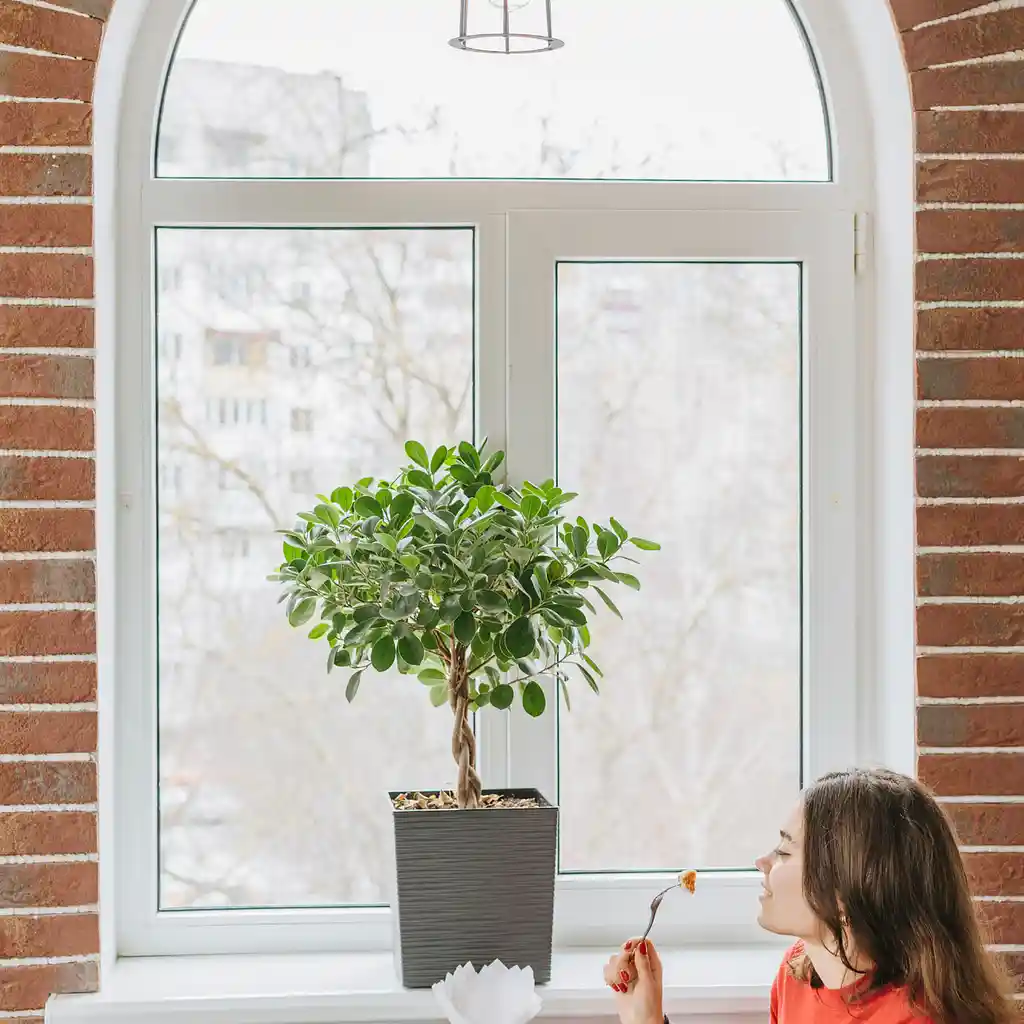 UPVC WINDOWS & DOORS